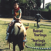 Uncanny Valley Boy by Bobtail Yearlings