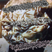 Cystoblastosis / Meatus / Oesophage