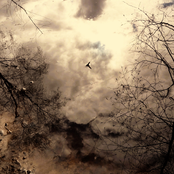 The Kindest Encounters