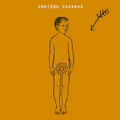 Indiāņu vasaras