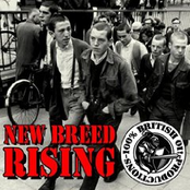 New Breed Rising - 100% British Oi!