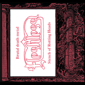 Stench of Rotting Heads