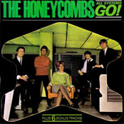 If You Should by The Honeycombs