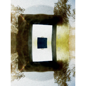 Any Type Of Void Can Be Amplified