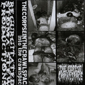Into The Crawlspace