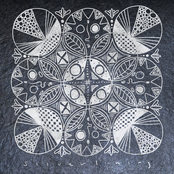 Courtney Swain: Silver Lining