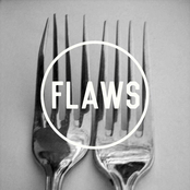 flaws