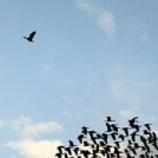 Just Uploading Stuff