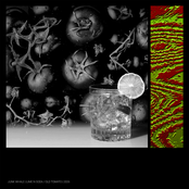 Lime n Soda / Old Tomato