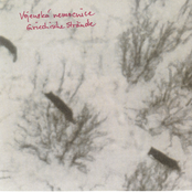 Griechische Strände (2003)