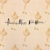 Rosetta Stone by Throwing Muses