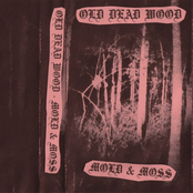 Mold & Moss