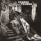 Haunted Crypt's Miasma