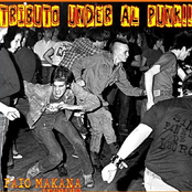 Tributo Under Al Punk!!