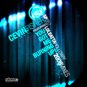You Got Me Burning Up! 2008 Mixes