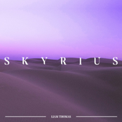 Skyrius