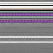 White Box Session (Live Session)