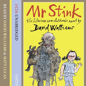 Mr Stink