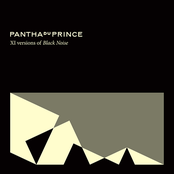 Pantha du Prince: XI Versions of Black Noise