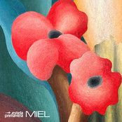 Miel - Single