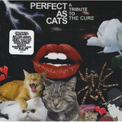 Perfect As Cats: a tribute to The Cure