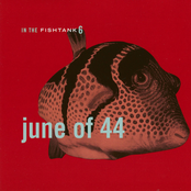 June Of 44: In the Fishtank