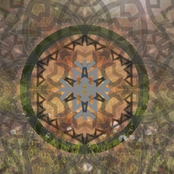 Just Like the Seasons