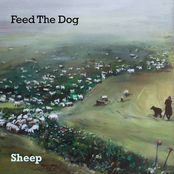 Feed The Dog: Sheep