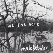 we live here