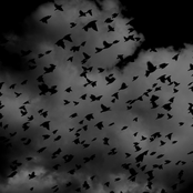 Fim de Século, Cores e Dores