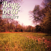 Boy And Bear: Moonfire