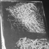 Darkness Enshrouded The Mist / Forbidden Citadel Of Spirits