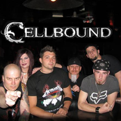 Cellbound