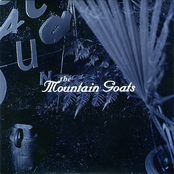 Design Your Own Container Garden by The Mountain Goats