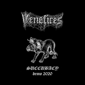 Succubacy demo 2020