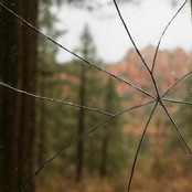 Adam Yokum: anyone else