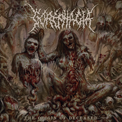 The Origin Of Deceased