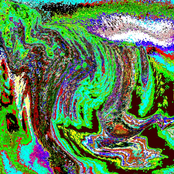 Purposeful Perception