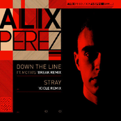 Stray (icicle Remix) by Alix Perez
