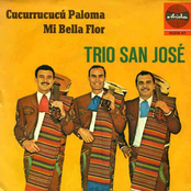Trio San José