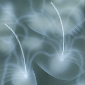 Worn by Salt