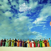 Hold Me Now (radio Edit) by The Polyphonic Spree