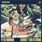 Court The Storm by Y La Bamba