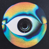 Wildermiss: Levitate