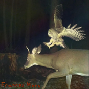 What Is Peace Between Us