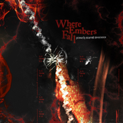 Primarily Scarred Conscience