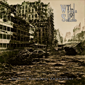 Шестое Массовое вымирание