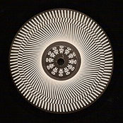 Discuss The Benifits Of Said - Collaborative Efforts Volume 1