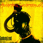 Sodomized