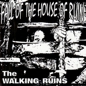 The Fall Of The House Of Ruin